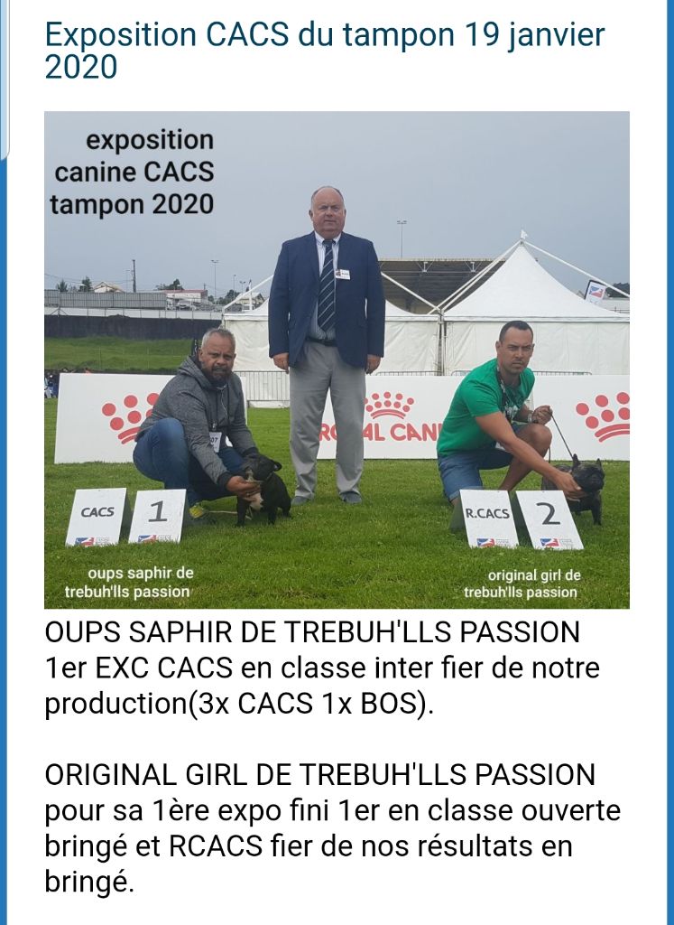 de trebuh'lls passion - Expos CACS 19 janvier 2020 au tampon