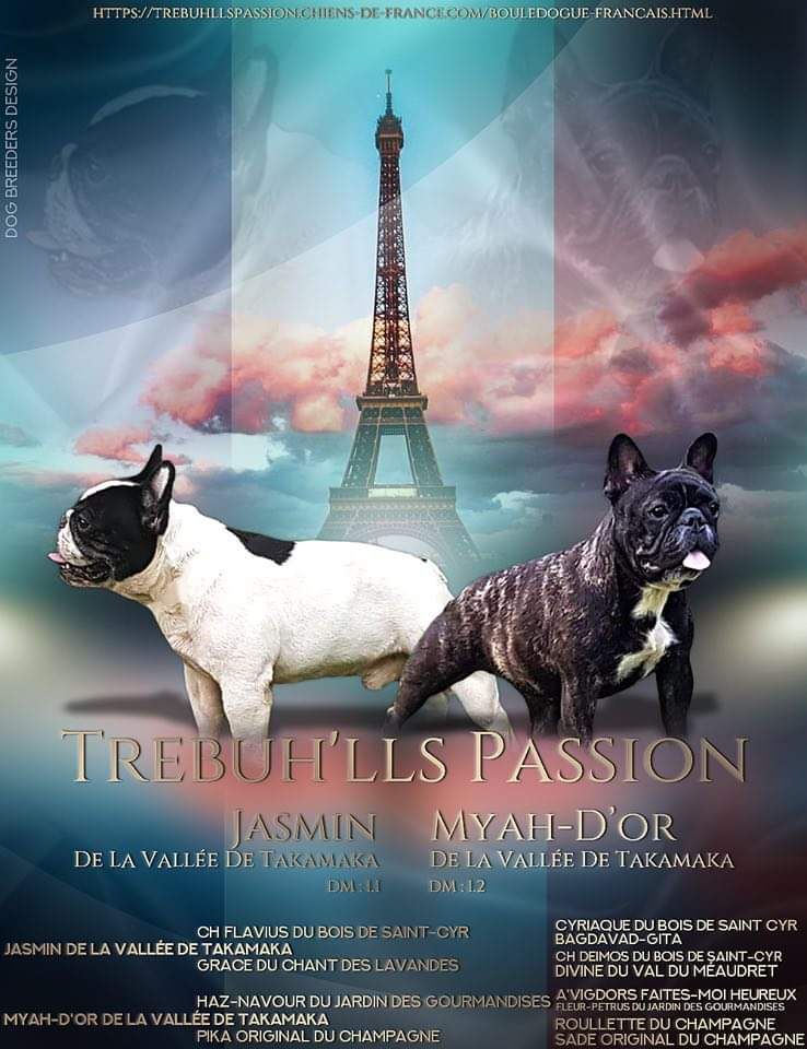 de trebuh'lls passion - Confirmation de gestation