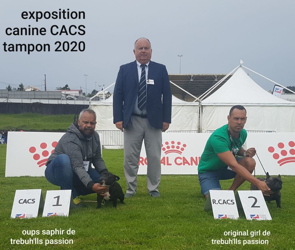 de trebuh'lls passion - Exposition CACS du tampon 19 janvier 2020